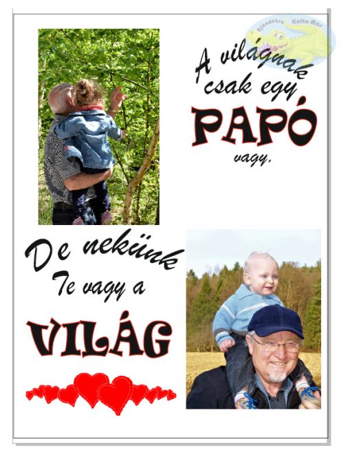 A világnak csak egy papó vagy - vászonkép